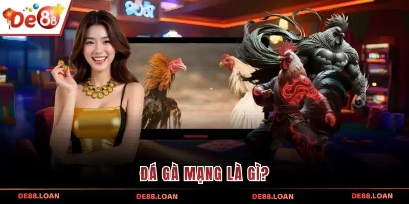 Đá gà mạng là gì?
